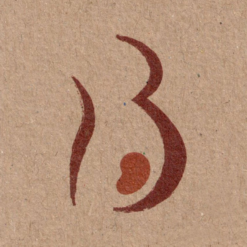 Logo: Birgit Brulow Hebamme, Still- und Laktionsberaterin